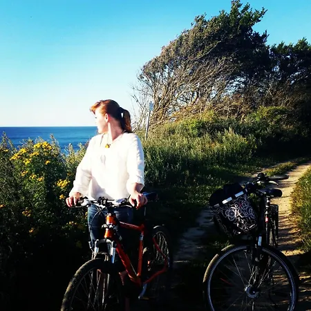 Strandlaeufer App 205 公寓